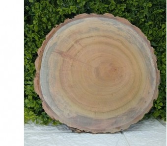 TOR-24 DE ARVORE GG FINA S/ VERNIZ C/ CASCA A27XL27CM