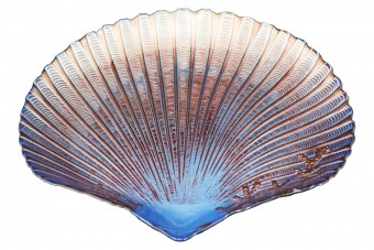 2911 DEKOR-MIAMI-CONCHA DECORATIVA-28 CM-AZUL COM OURO 530428.AZOR