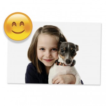 BR01.2103.LIS FIXADOR DE LEMBRETES ENVERGONHADO PROMOCAO