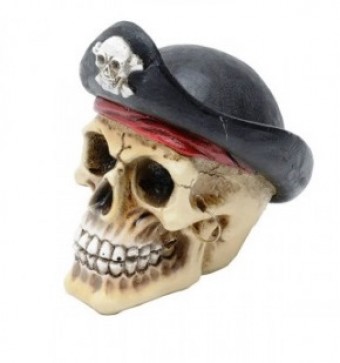 Qjx119 caveira 16cm resina