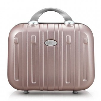 AHZ19871 FRASQUEIRA TRIP ROSE