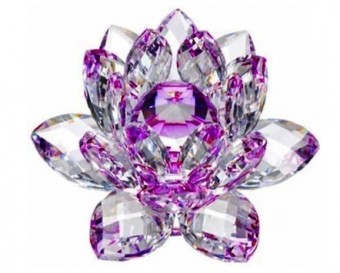 Hgz002 flor lotus