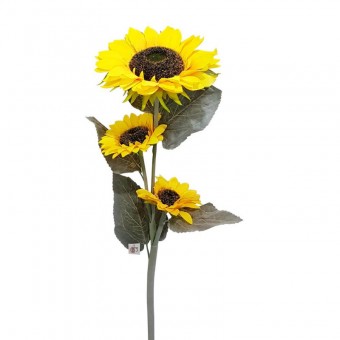 BF9109 HASTE GIRASOL X3  CM