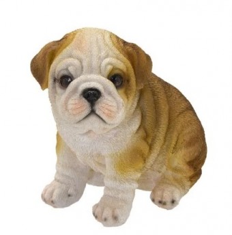 239-162 CACHORRO DECORATIVO