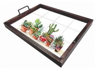 3096PP-011 BANDEJA DE AZ. Cacto 23x33cm