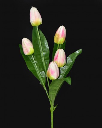 BF3703RS HASTE TUPIPA X5 COM FOLHA 81 CM