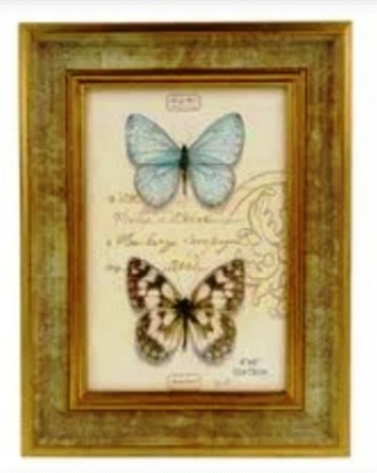 3943 P.RETRATO 15X20XM CAMELIA