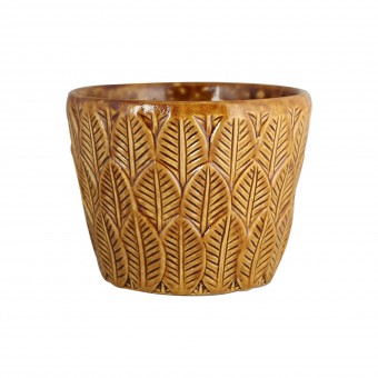 3668 CACHEPO N 2 FOLHAS - 98/ 11