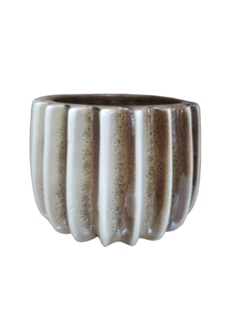 401-7641 CACHEPO COTELE No 4 -