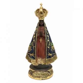 DR1428A N SRA APARECIDA 17 CM -48*