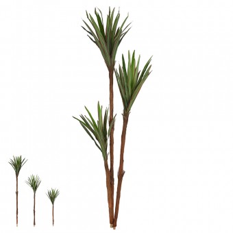 YUCA 3 TRONCOS (95CM)-VERDE