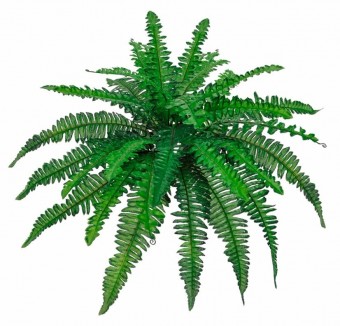 12241VD SAMAMBAIA PLANTA BRCH FLOCADA PO X18 40CM