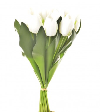 BF8632BR BUQUE TULIPA X12 39CM