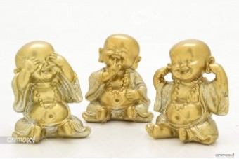 4656 BUDA 7CM RESINA