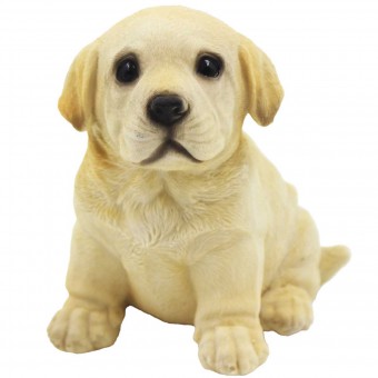 MDOG06 CACHORRO 14X13CM RESINA