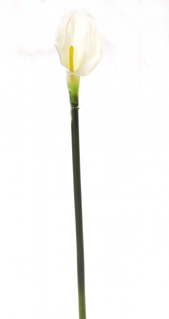 BF8543BR COPO DE LEITE 64 CM TOQUE REAL