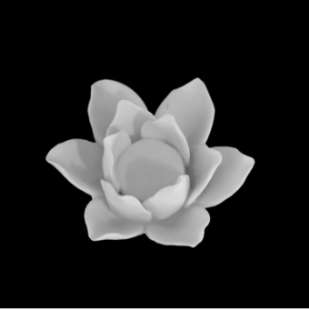 0154 Flor de Lotus G