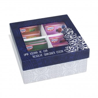 BR01.2932.FOS CAIXA DE ACO CHA CACTOS