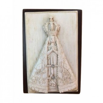 Rb32258-1 aparecida placa