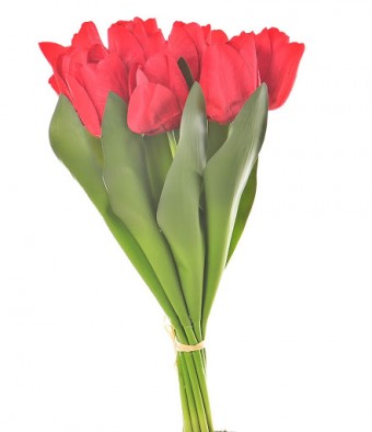 BF8632VM BUQUE TULIPA X12 39CM