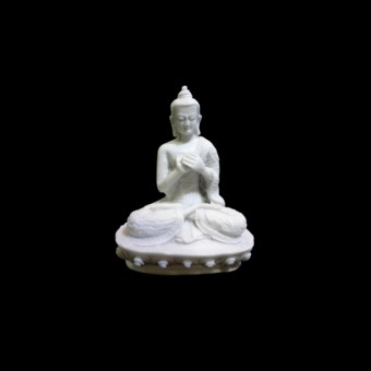 0384 buda mudra 04 sabedoria