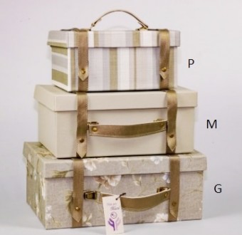 2046.1933 P CAIXA MALETA RETANGULAR COLOR 172