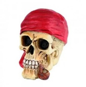 MD16A6017 CAVEIRA 13,5CM RESINA