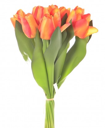 BF8632LJ BUQUE TULIPA X12 39CM