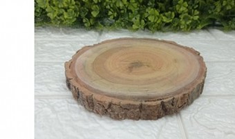 Tor-15 de arvore p fina s/ verniz c/ casca a16xl16cm
